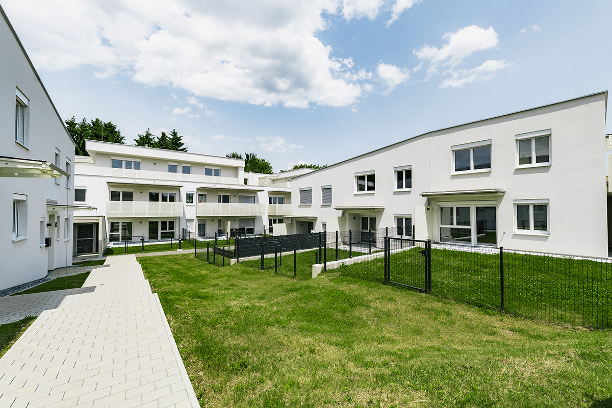 Wohn(t)raum zum Greifen nah! Viel Wohnraum mit grozgiger Dachterrasse in Nestelbach! /  / 8302 Nestelbach / Bild 3